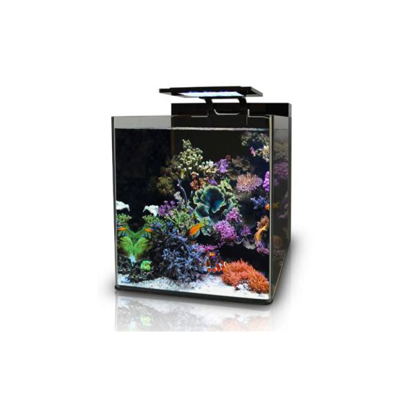 BlueMarine Reef 90 Aquarium